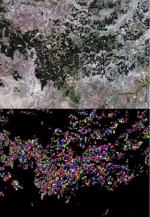 Landsat imagery of crop fields